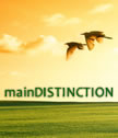 Main Distinction